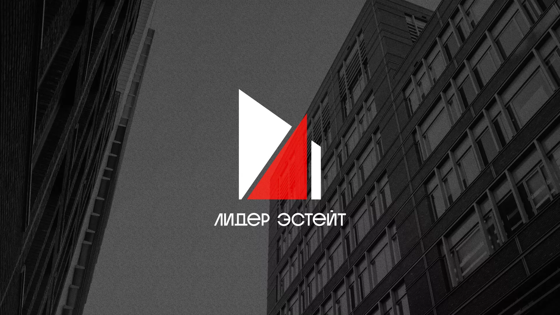 Сделали логотип для агентства недвижимости «Лидер Эстейт» в Сысерти